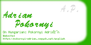 adrian pokornyi business card